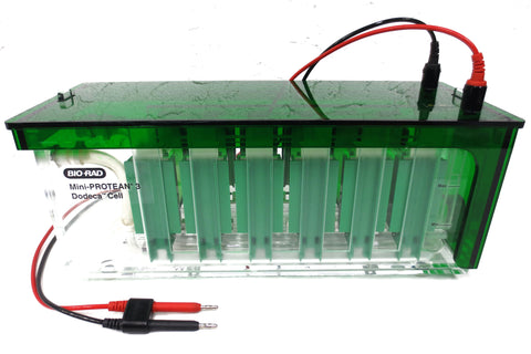 Bio-Rad Mini Protean 3 Dodeca Cell Gel Electrophoresis System, Runs 12 Mini Gels