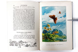 Antique Book on Butterflies by Dr Clarence Weed, 48 Full Color Illustrations